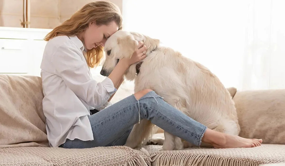 3 cosas que debes considerar al comprar un mueble si tienes mascotas