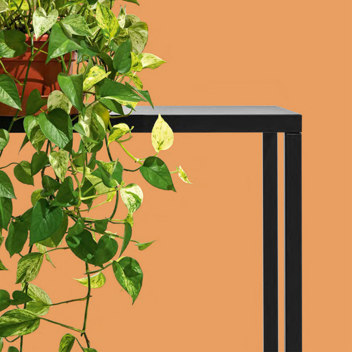 iron 160 cm. Muebles Italianos